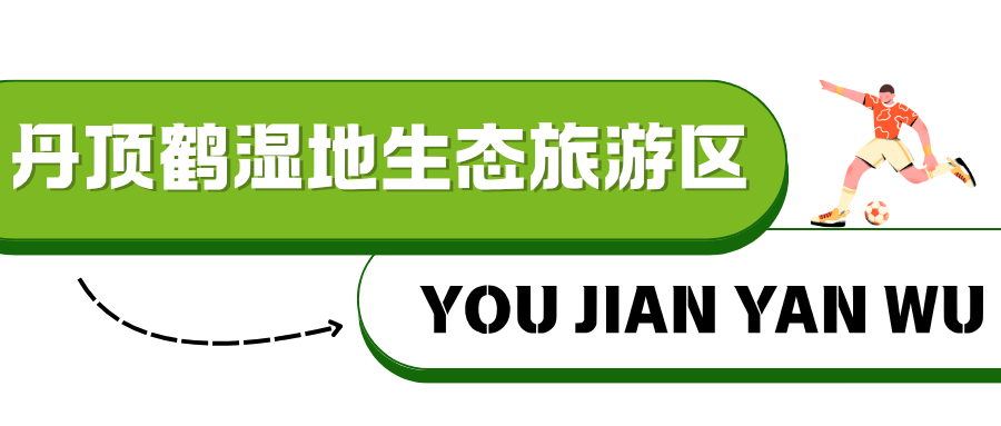 ”！淮安西游乐园等景区免费玩不朽情缘正规网站“鹿马大战(图15)